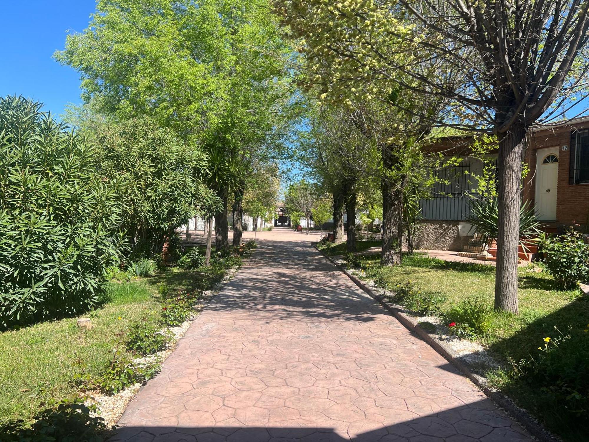 Bungalow Padul El Mamut Екстериор снимка